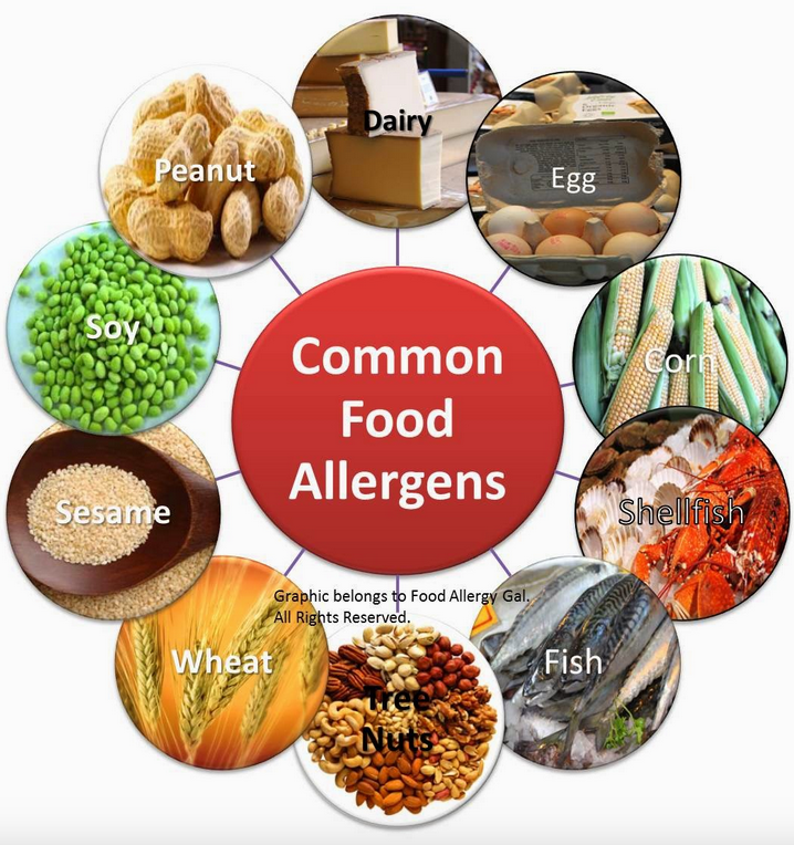 Food allergy. Common Allergen food. Allergy to food. Аллергия на пищевые добавки.