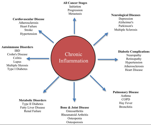 omega-3 test