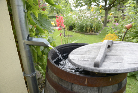 The Rain Barrel Effect