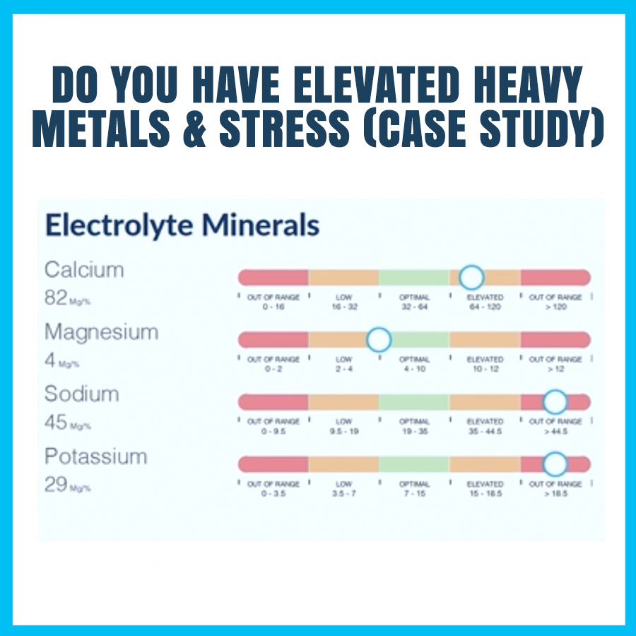 Minerals and Metals Test